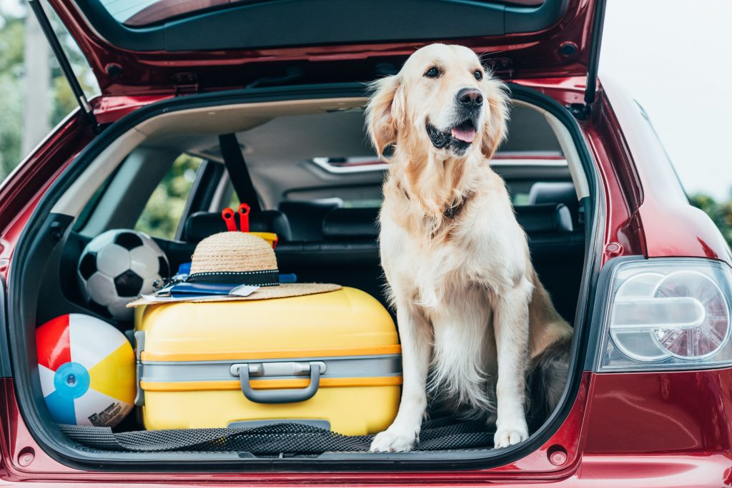 Comment bien préparer un long trajet en voiture avec bébé ?